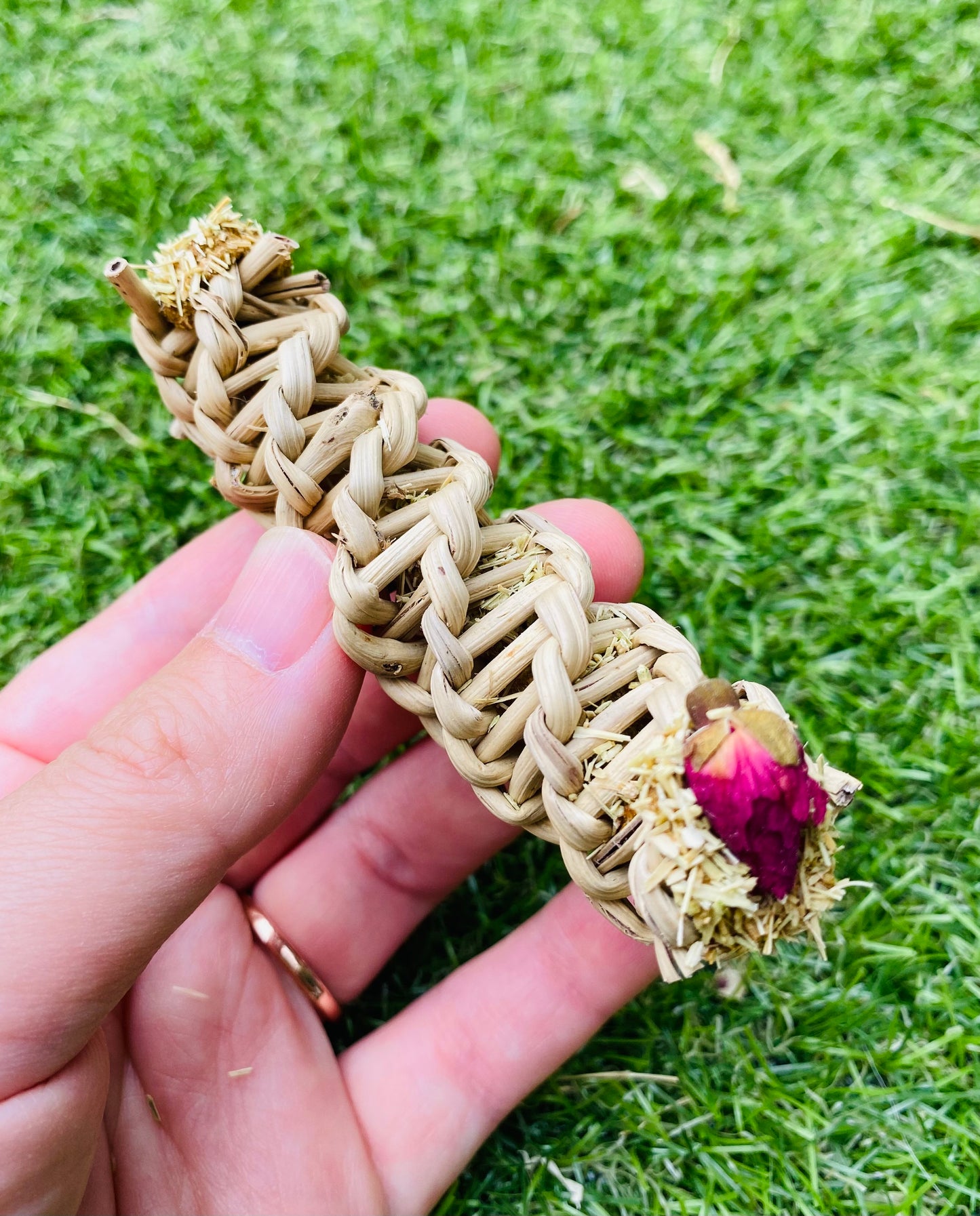 Vine Cannoli 4pack