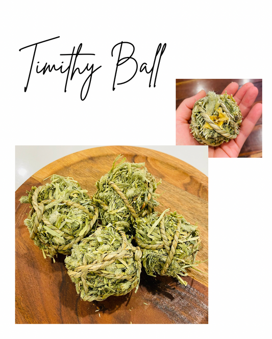 Timothy Ball - 1 ball