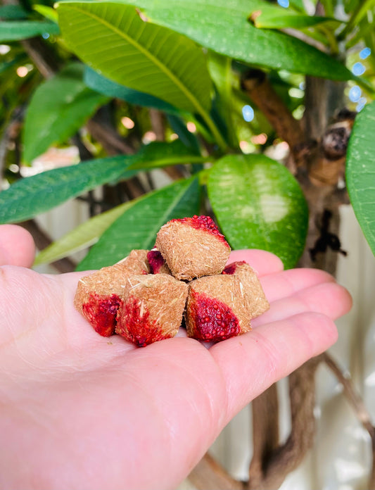 Jam Biscuits 30g