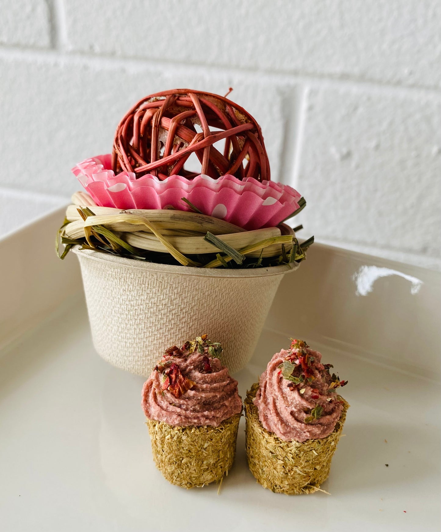 Toy & Treats Set