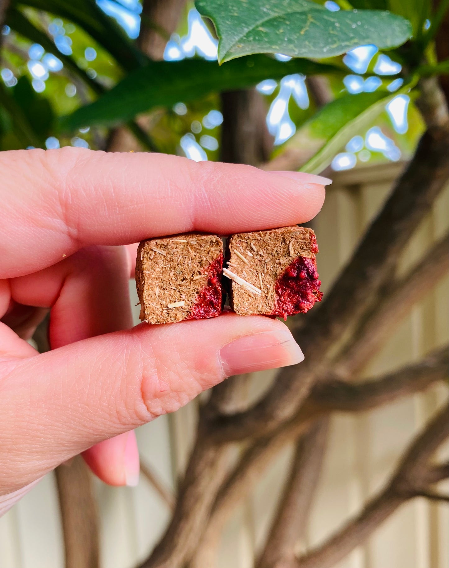 Jam Biscuits 30g