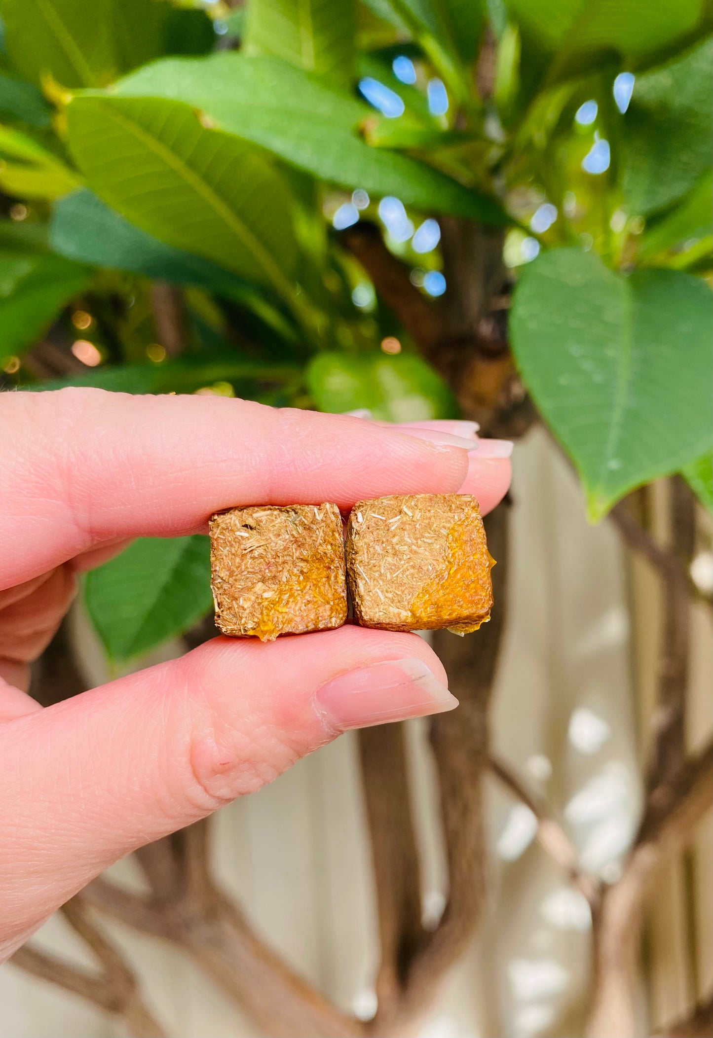Jam Biscuits 30g