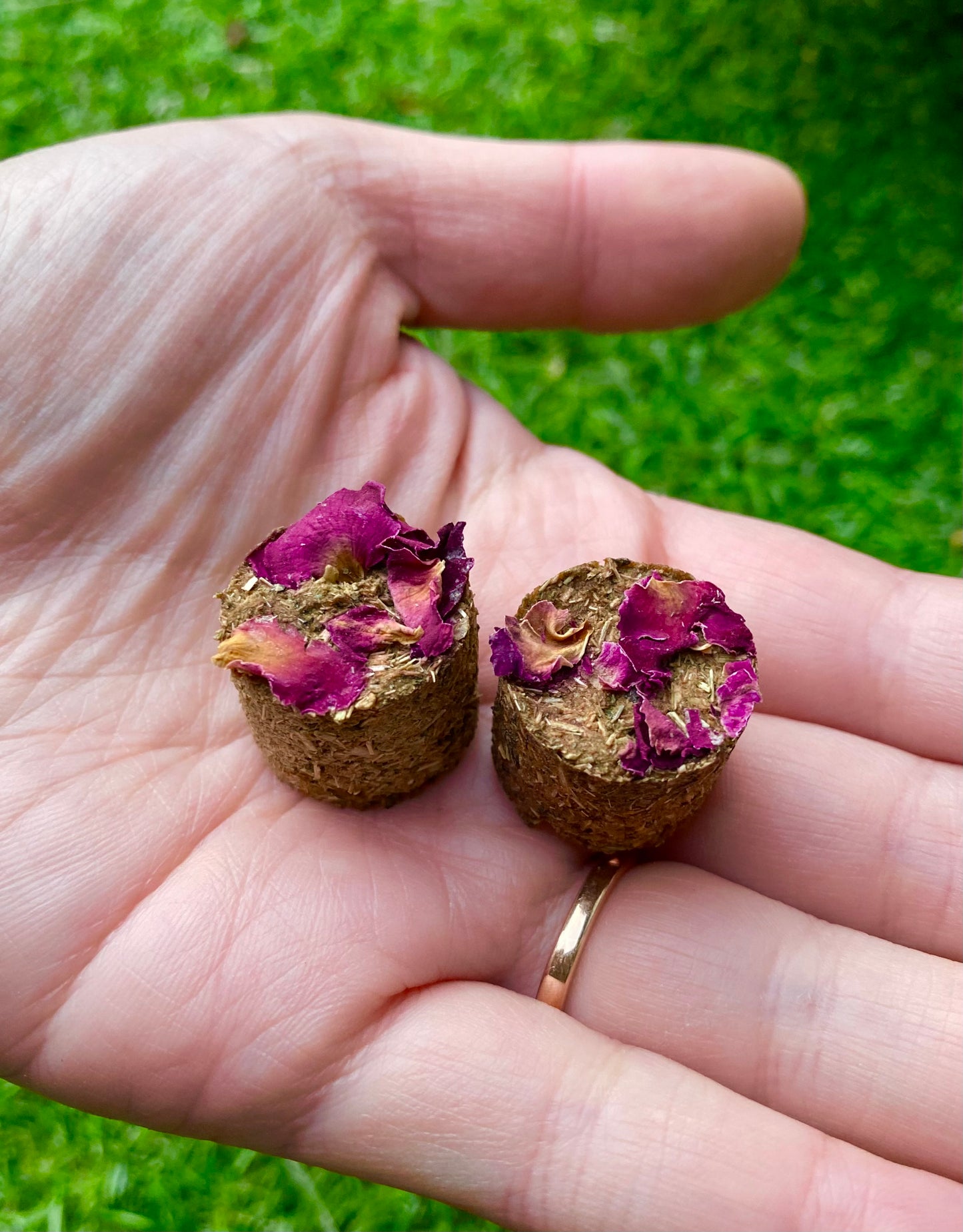 PyonPyon’s Trail Mix 90g